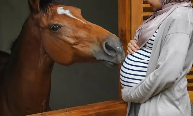 Zaskia Sungkar Hamil Anak Kedua, Unggah Momen Pemeriksaan Kandungan