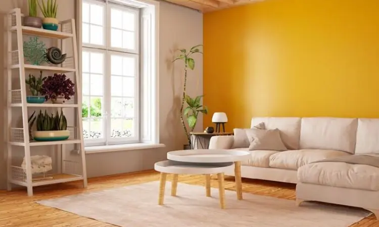 Ancaman Tersembunyi: Kesalahan Menyimpan Barang Picu Kerusakan dan Bahaya di Rumah