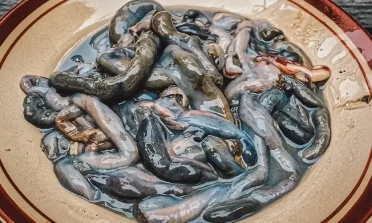 Sensasi Kuliner Ekstrem Filipina: Menantang Selera di Balik Balut