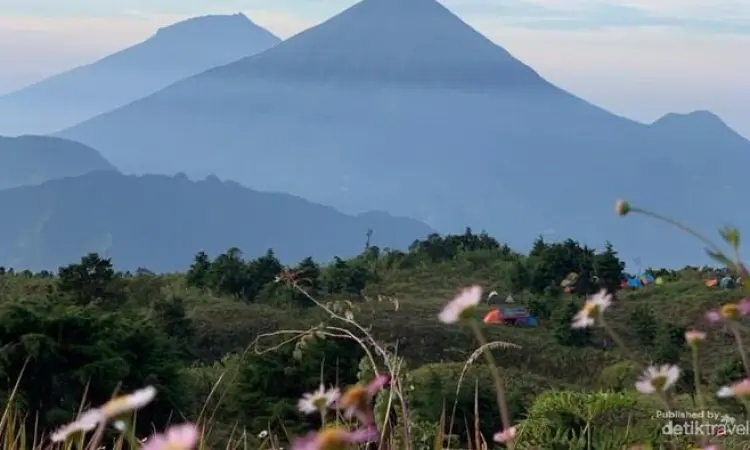 Jalur Pendakian Gunung Prau Ditutup Total Dua Bulan Mulai 19 Januari 2026